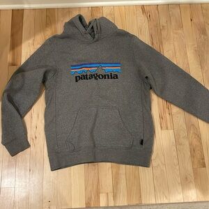 Patagonia men gray hoodie